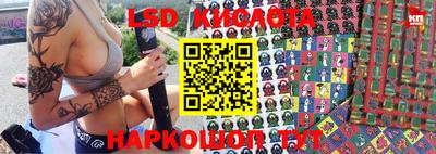 индика Гусев