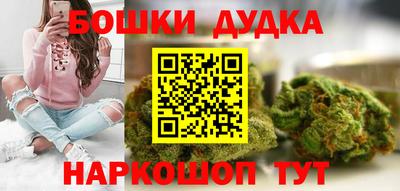 индика Гусев