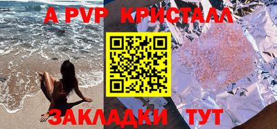 индика Гусев